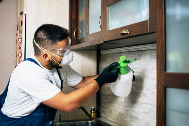 Best Pest Control Near Me in Charlotte Hall, MD