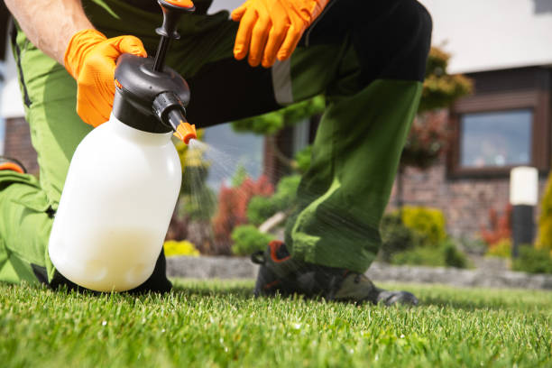 Trusted Charlotte Hall, MD Pest Control Experts