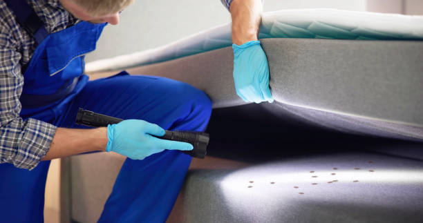 Best Ant Control Services  in Charlotte Hall, MD