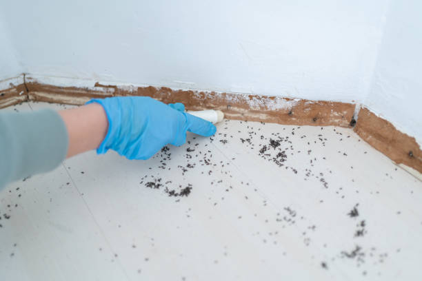  Charlotte Hall, MD Pest Control Pros