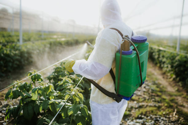 Best Wasp Removal Services  in Charlotte Hall, MD